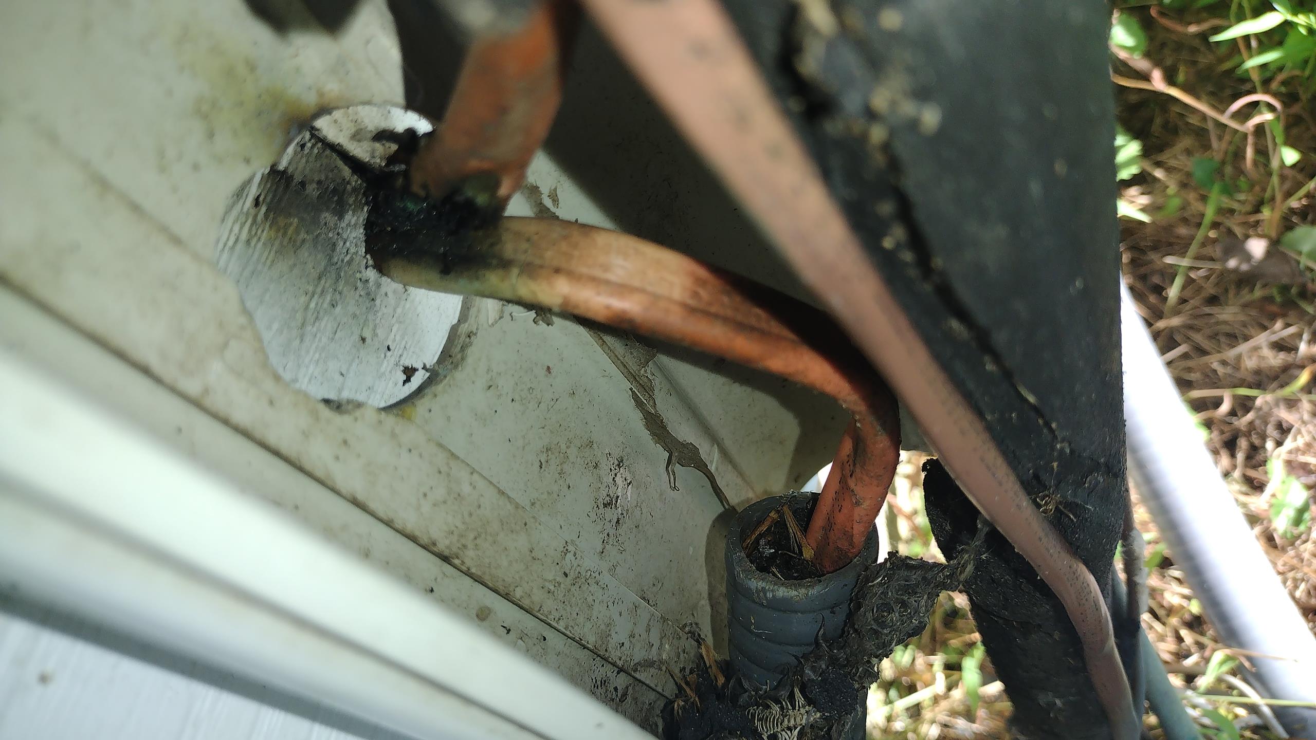 Luis 8-3-26
Customer called in for no cooling, 30 amp breaker for air handler keeps tripping, check all wiring at the unit and ll the way to electrical panel. Found shorted high voltage wire on the outside. 10/1 wire runs from electrical panel to outside and runs all the way inside line set cover. Short is right at the entrance of the wall. We will need to make a junction box inside basement (cut access panel) customer will take care of sheet rock repair. We will need to make another junction box at the attic. We will need a new 15 amp double pole home line breaker. I will talk to management about pricing for electrical repair. 