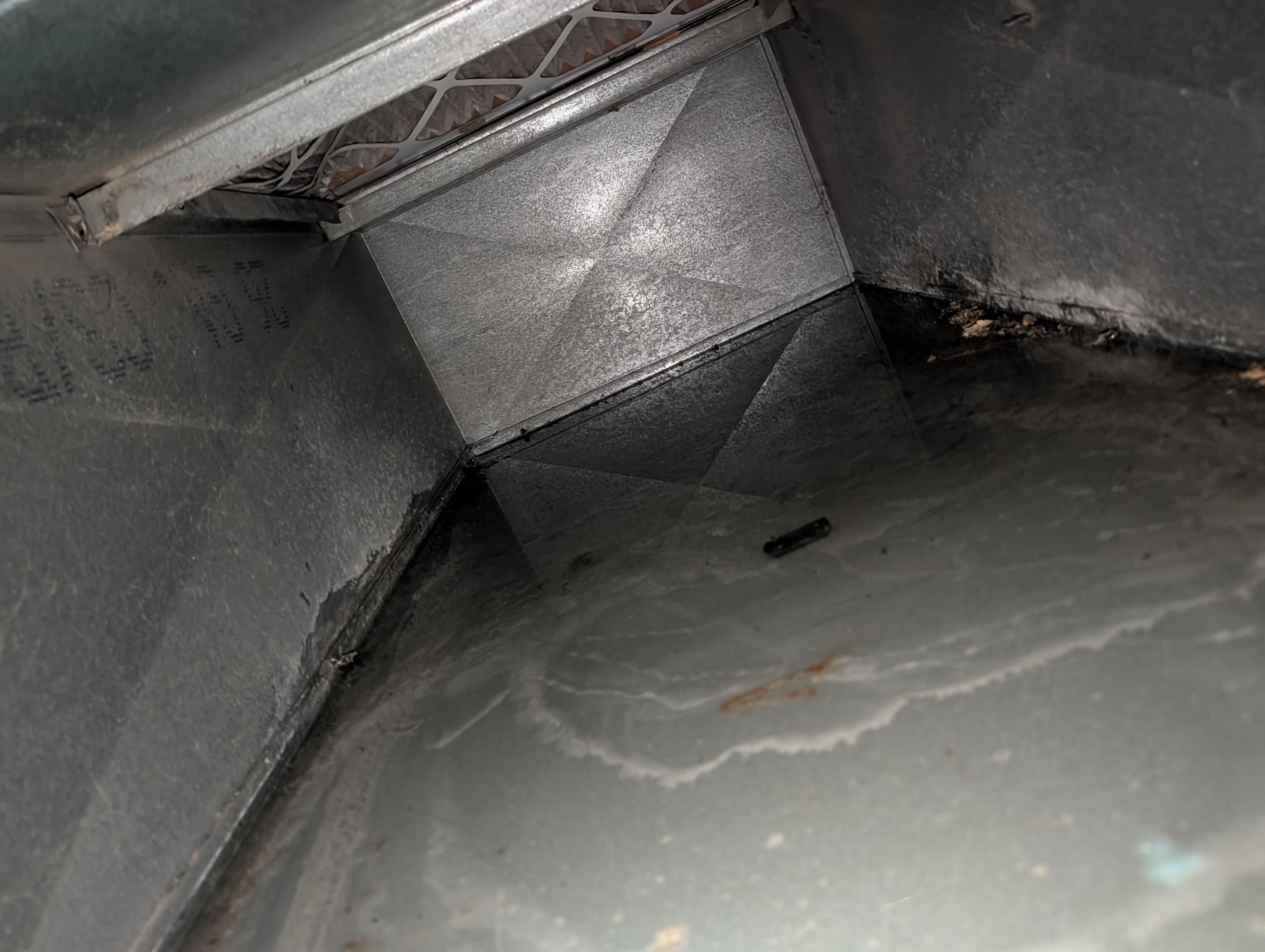 Found water around air handler in basement.
Homeowner explained that couple days ago during the rain he first noticed the water, and assumed it may have been rain water getting in basement.

I found EZ trap float popped up. The EZ trap did not have a wiring harness.
I forced brush through trap body to clear drin and immediately water began to pour into condensate pump. Pump was dirty and had a long discharge time.

Offered to clear drain (includes drying water, cleaning pump) and wire in wiring harness to break power to thermostat in the event of another drain clog along with (2) plan memberships. Homeowner agreed.
Completed work as described above. 

Includes taking off access panel on side of return and using wet vac to suck up any water. Also dried from the coil compartment with filter removed. Coil is a slant cool. Sprayed condensate drain treatment in pan and trap (will control odors and help prevent clogs). There was approximately 12 gallons water in Sheet metal return.
Replaced 
