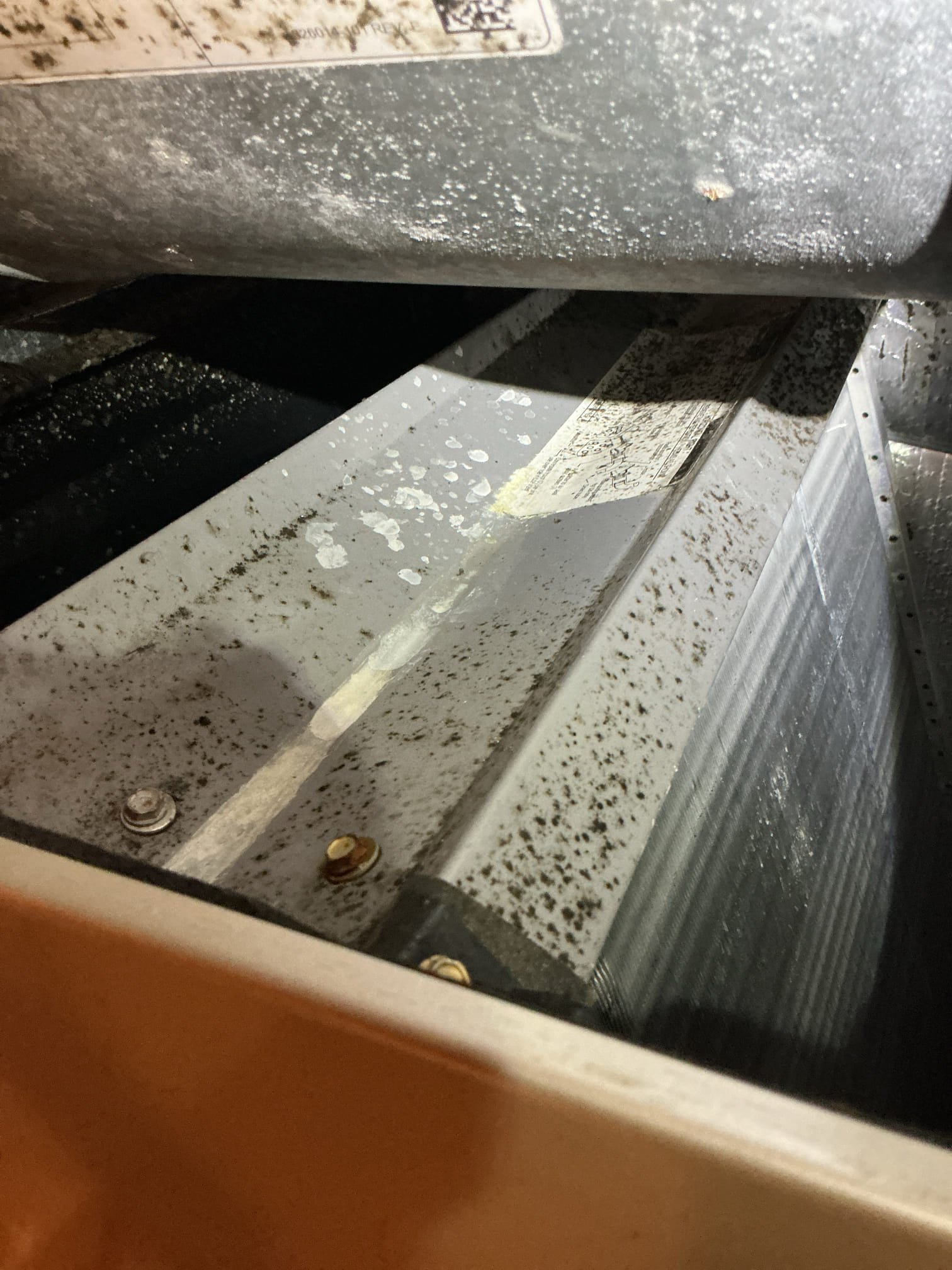 On October 14, I conducted a thorough inspection of a 2017 Carrier 3-ton heat pump. Upon arrival, I tested the system's operation and confirmed the electrical heating system and 20kw were functioning correctly. The customer had recently changed the filter. I inspected the coils and indoor components, finding significant biological growth on the indoor coil and blower, an issue noted in previous visits. The indoor unit lacks surge protection. Airflows at the supply and return were checked and found to be adequate. I also assessed the outdoor unit's refrigerant levels and pressures, which were within manufacturer standards but lower than normal. I provided an estimate to add refrigerant and dye, but the customer declined. I assured them the estimates would be kept on file.