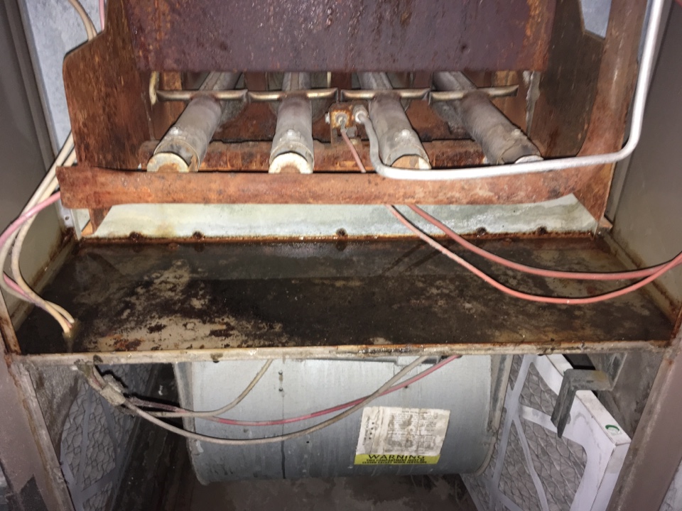 Walnut Creek, CA - Performing diagnostic service on 1981 General Electric Furnace and 1993 Trane condenser, system not functional on arrival. Water has been draining from coil into furnace, there is about 1/2” of water sitting in the burner compartment and at least one electrical connection is under water. Client experiencing burning plastic smell when system kicks on, likely coming from blower motor or gas valve, both of which have water damage. Preparing estimate to replace system and ductwork. Walnut Creek, CA - Performing diagnostic service on 1981 General Electric Furnace and 1993 Trane condenser, system not functional on arrival. Water has been draining from coil into furnace, there is about 1/2” of water sitting in the burner compartment and at least one electrical connection is under water. Client experiencing burning plastic smell when system kicks on, likely coming from blower motor or gas valve, both of which have water damage. Preparing estimate to replace system and ductwork.