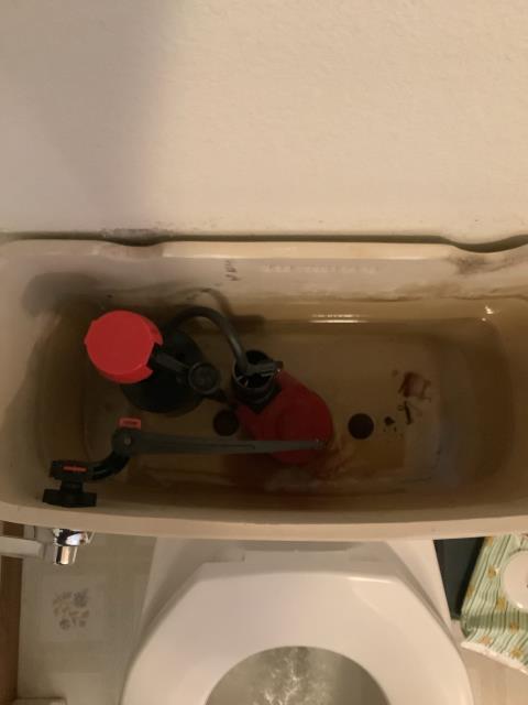 Bangor, WI - Replace tub trap and rebuild toilet Clear a tub drain Call Maxwell White Plumbing 608-786-4004 Bangor, WI - Replace tub trap and rebuild toilet Clear a tub drain Call Maxwell White Plumbing 608-786-4004