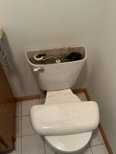 Norwalk, WI - Install new homeowner installed Garbage disposal & replace fill valve and flapper in toilet

                           Call Maxwell White Plumbing 608-786-4004