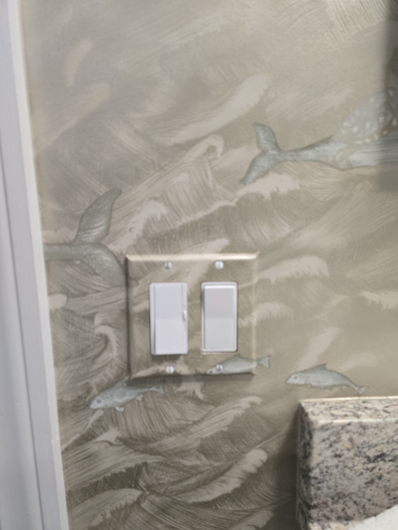 switch replacement with dimmer