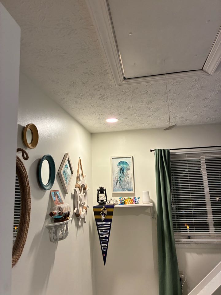 Installed one customer ceiling fan, and supplied and installed two LED disc lights from scratch in Arnold, MD