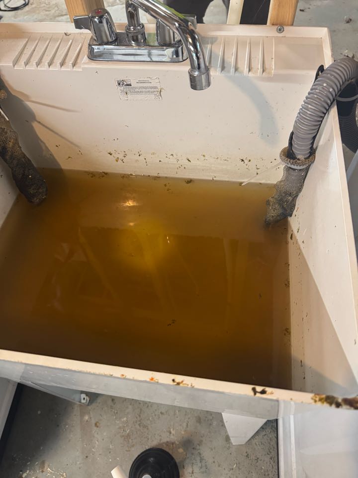 Sewer backed up in the laundry tub