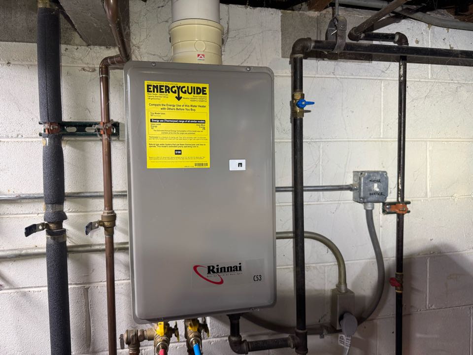 Tankless water heater descaling 