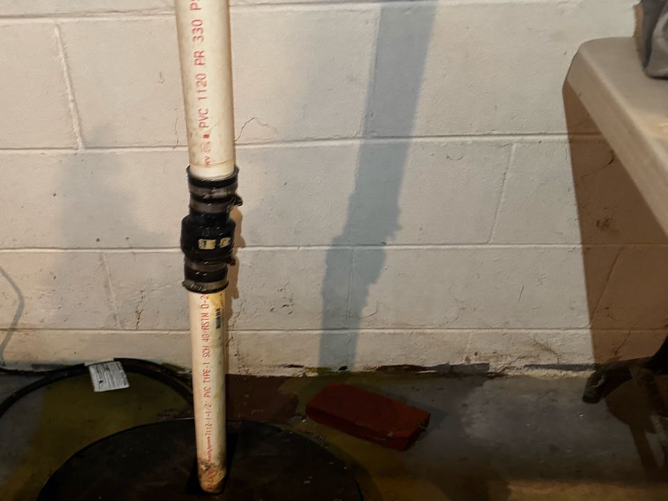 Check valve replacement 