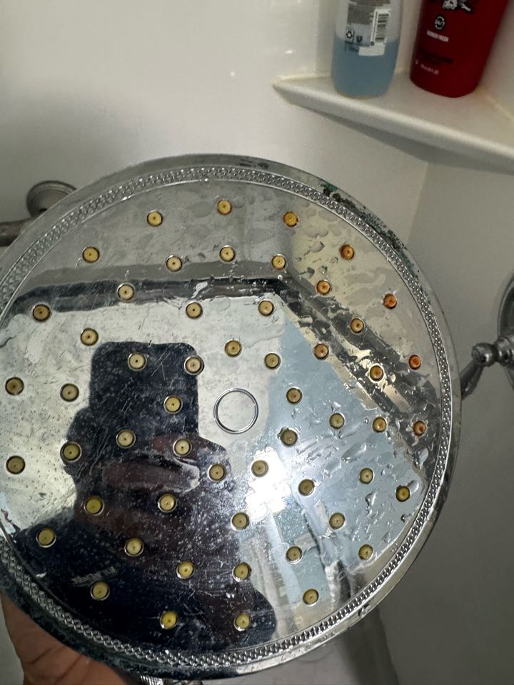 Rusty shower head.