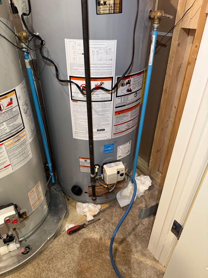 Water heater flush