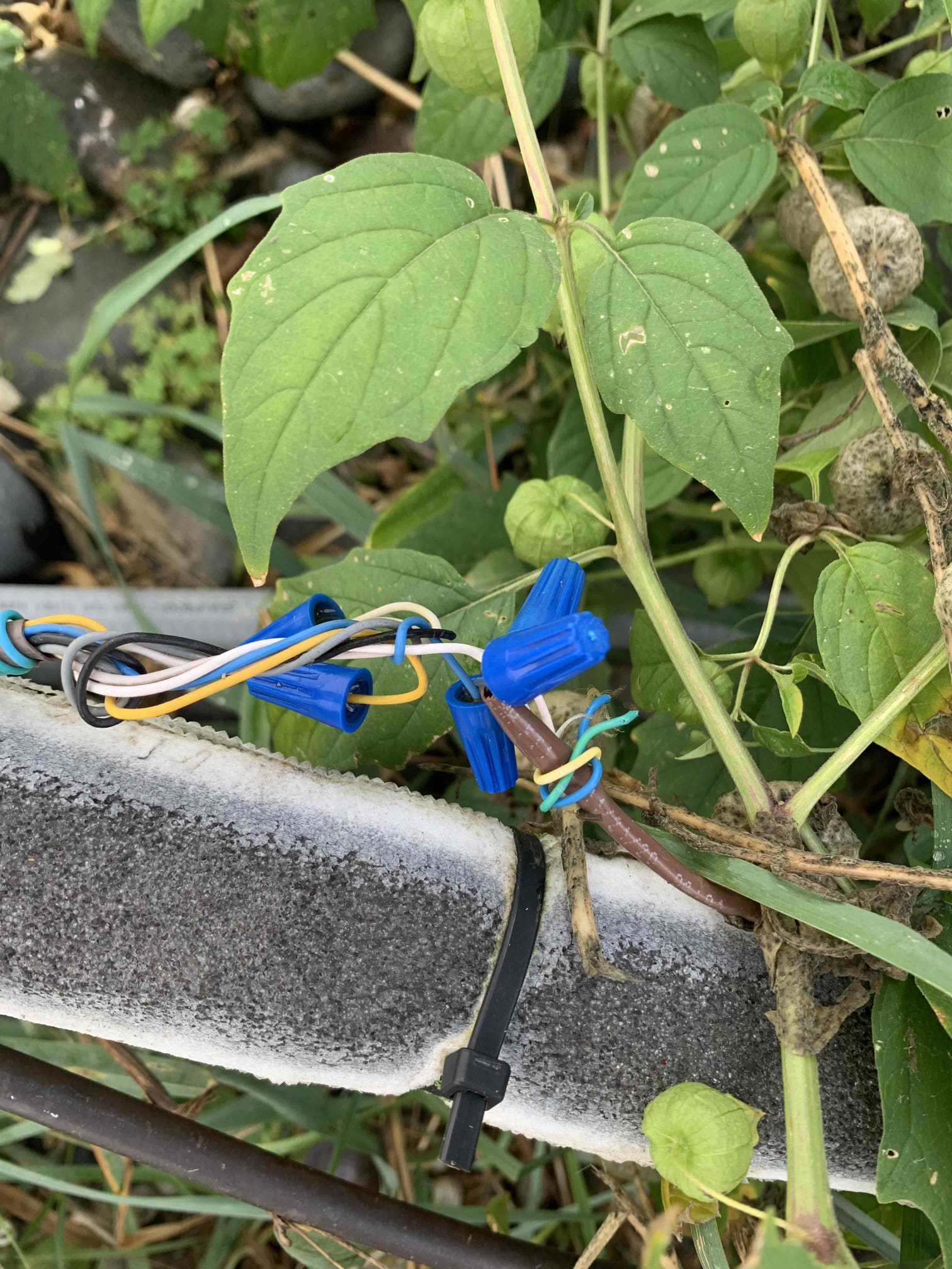 I was called to a home to diagnose and repair a unit that was not cooling. Upon arrival, I found that there was no low voltage going out to the condenser. I checked the connections on the thermostat wire going outside and found that the wire nuts were rusted from rain. I messed with the wire nuts and the unit kicked on for a second before shutting right back off. I then diagnosed the issue as a faulty thermostat and recommended that the wire be rerun with shielded thermostat wire.