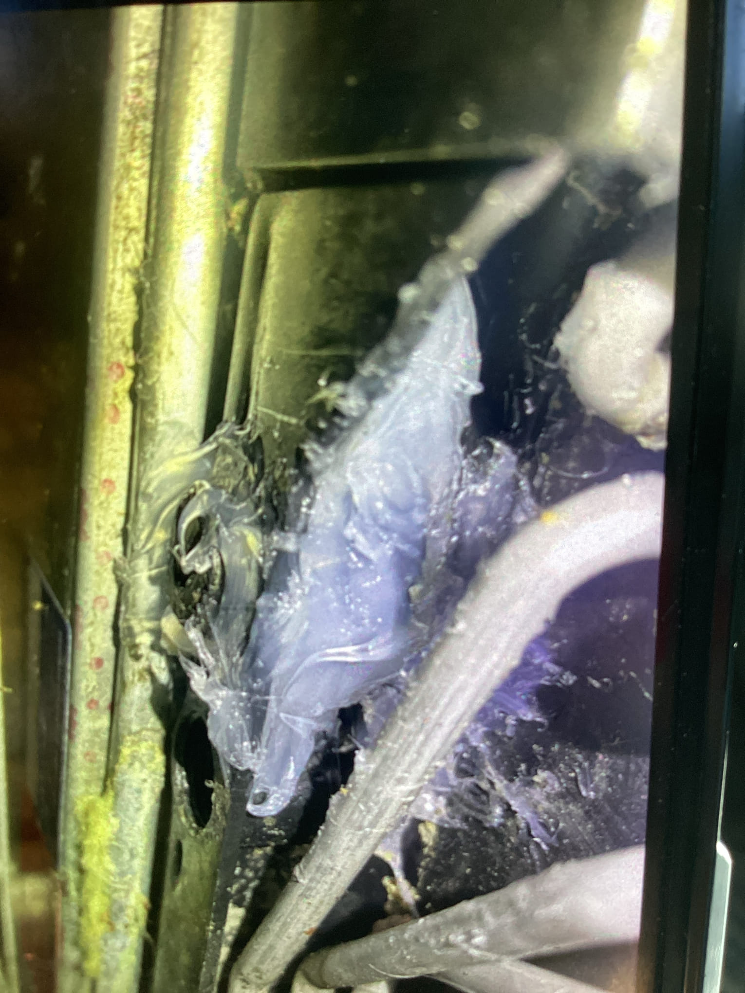 I was called to a home to fix a broken evap condensation drain pan. The pan was causing a leak in the home. I found the pan was broken and needed to be replaced. I ordered the new pan and installed it. The customer was happy with the work and paid me for the service.