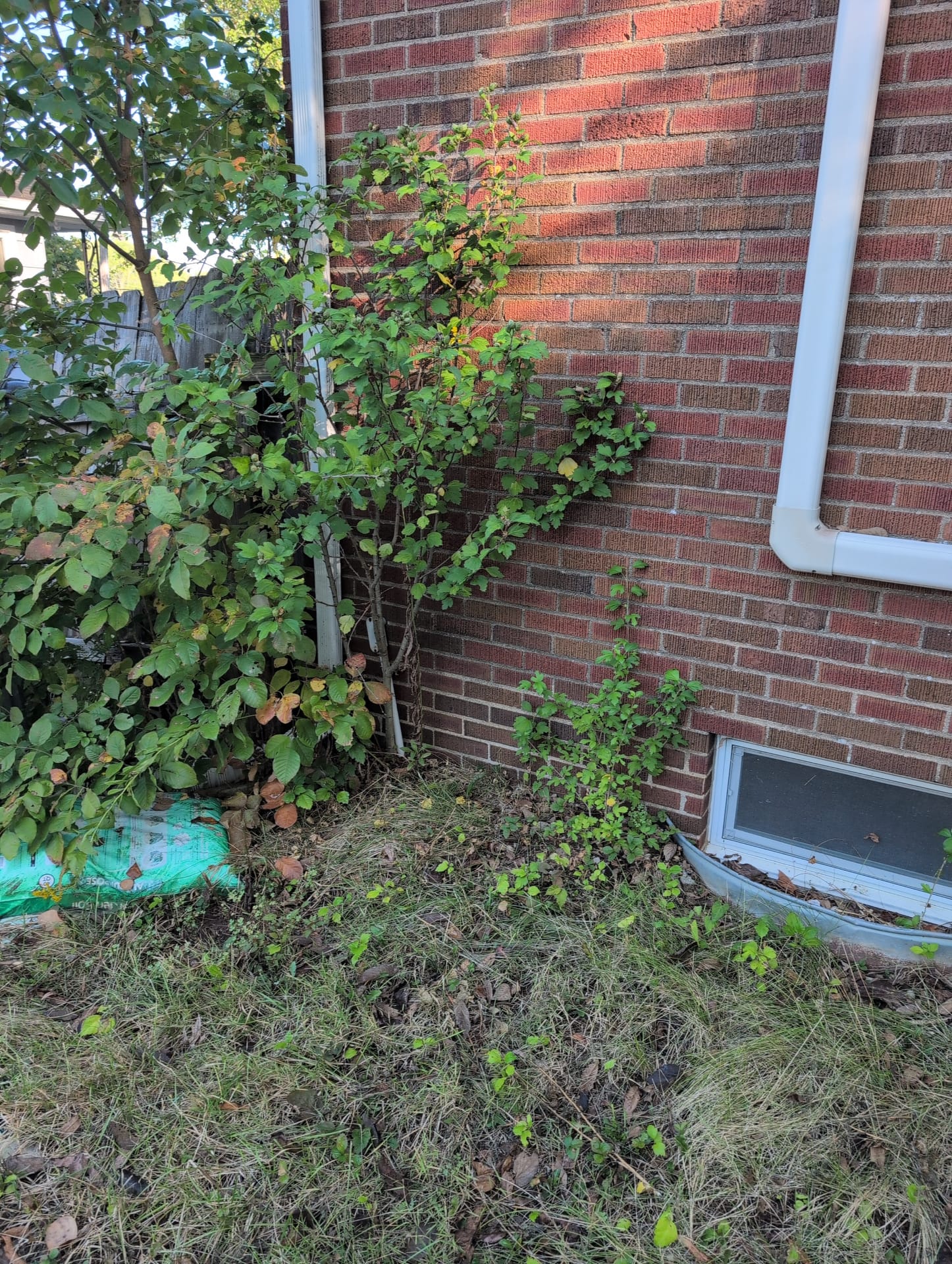 * I was called out to a home for a plumbing maintenance. 
* The client had one full bath in the home. 
* The water heater was a 50-gallon electric brand new. 
* The client was on a well. 
* I flushed the water heater, turned it off on the breaker box. Everything was in good condition. 
* I inspected the bathroom in the home. The laboratory faucet was extremely difficult to turn on and off. The client had recently installed a softener but still had hard water. 
* I attempted to flush the toilet. The toilet flushed gray. I did not notice any leaks at the base of the toilet or at the supply line. However, I did notice the toilet moved when I attempted to wobble it. 
* The shower to the bathroom turned on and off but the handle was extremely stiff. 
* The radon read at 11.3. I informed the client of radon and what to expect.