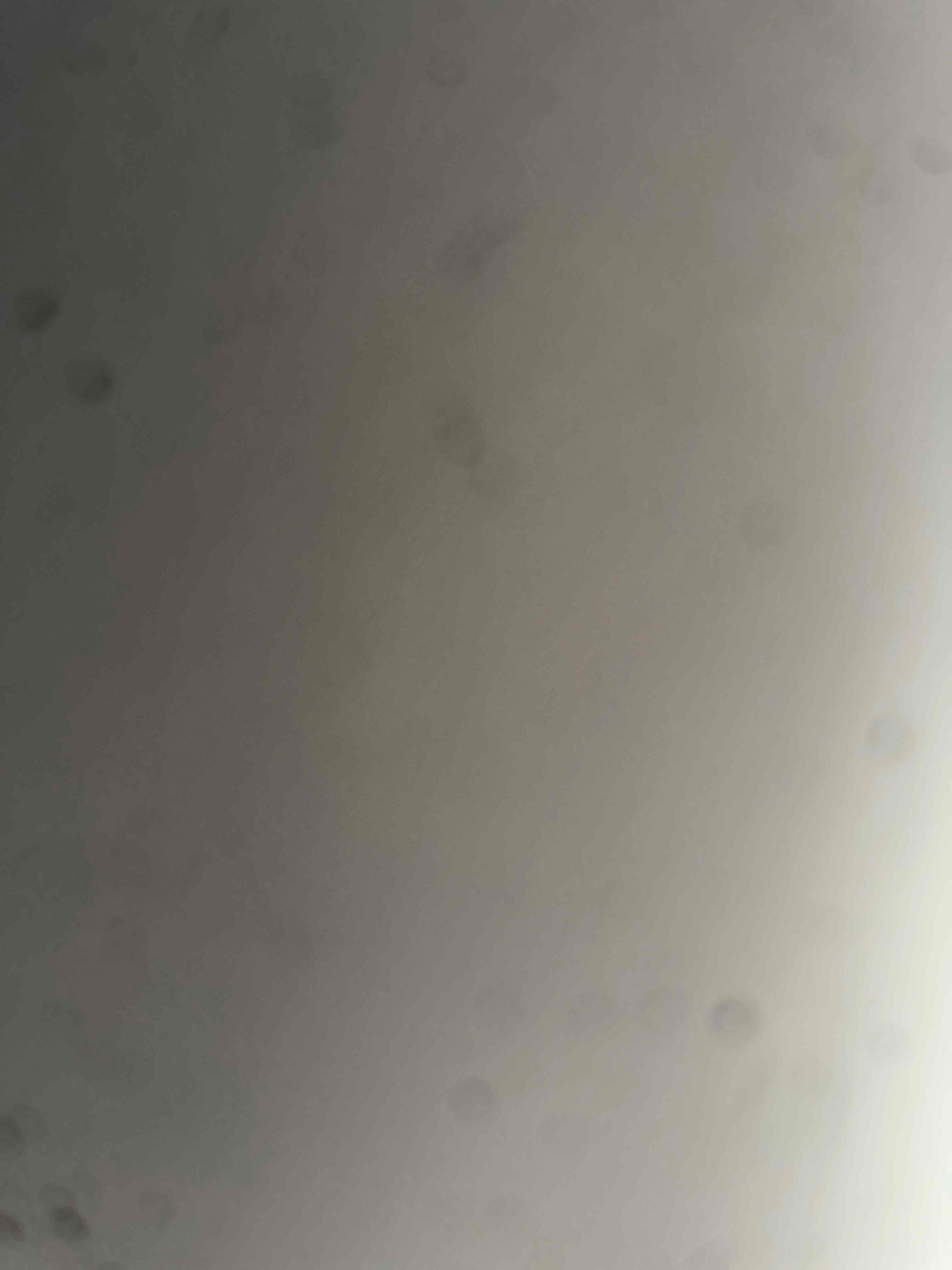 I was called to a home in the suburbs to check on a furnace that was not running properly. Upon arrival, I noticed that the furnace was running, but there was a mouse in the Bruner cavity. I removed the mouse and made sure the furnace was running properly. I also checked the air filter and made sure it was clean. The customer was very happy with the service and thanked me for my help.