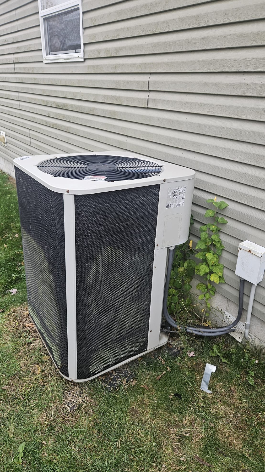 I was called to a home to repair a refrigerator that was not cooling. Upon arrival, I found that the defrost board was missing the correct mounts, causing the low voltage to short out against the cabinet. I installed new connectors and made sure that the wiring was not grounding out. The H.P. was working as it should at this time.