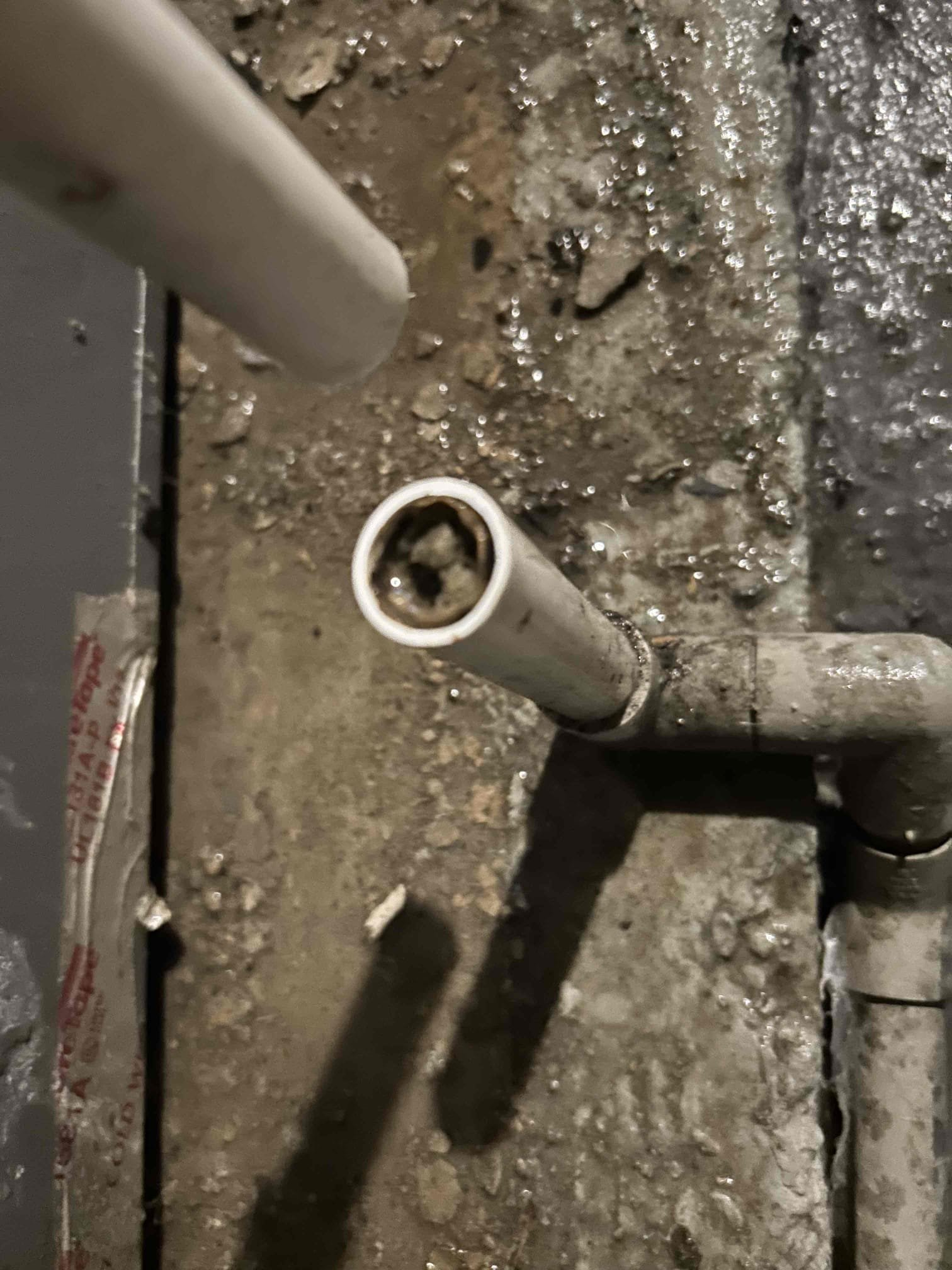 I am a highly skilled and experienced home service professional. I recently completed a job for a client who had a clogged drain. I returned to their apartment the next day to re-run the drain and found that the blockage was caused by a buildup of grease and hair. I used a powerful drain cleaner to clear the drain, and the client was very satisfied with the results. I also provided them with some tips on how to prevent future blockages, such as regularly cleaning their drains and using drain screens. Overall, it was a successful job, and the client was very happy with the results.