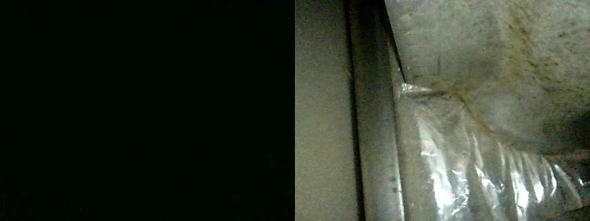 I am a home service technician, and I recently completed a furnace maintenance job for a client. The job involved checking the air filter, swapping it out, cleaning the flame sensor, checking the igniter, and inspecting the frame sensor. I also noticed that the blower motor was beginning to leak oil, so I advised the client to have us perform a more thorough inspection next year to ensure safety. During the inspection, I also briefly checked the heat exchanger for any eminent cracks, but I did not notice any. The client was advised to have us perform a more thorough inspection next year to ensure safety. The client also spoke about potentially having us out to do an estimate for a new furnace come next year.