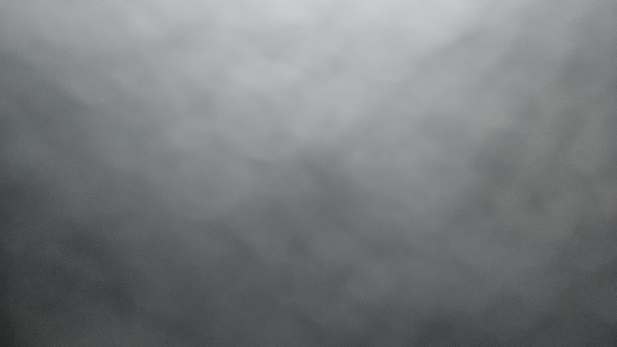 I was hired to perform a home service job for a customer. The job was to clean the carpets in their home. When I arrived, I noticed that the customer had a dog in the house. I informed the customer that I could not clean the carpets without removing the dog from the house. The customer refused to remove the dog from the house, so I canceled the job.