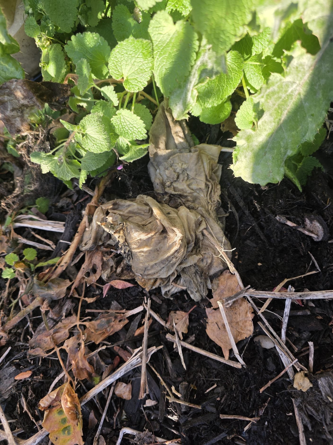 I was dispatched to a home in the city to clear a clogged main drain. Upon arrival, I used a specialized drain snake to clear the clog. After clearing the clog, I inspected the drain for any further issues and made the necessary repairs. The homeowner was very pleased with the service and expressed gratitude for the quick and efficient resolution of the problem.