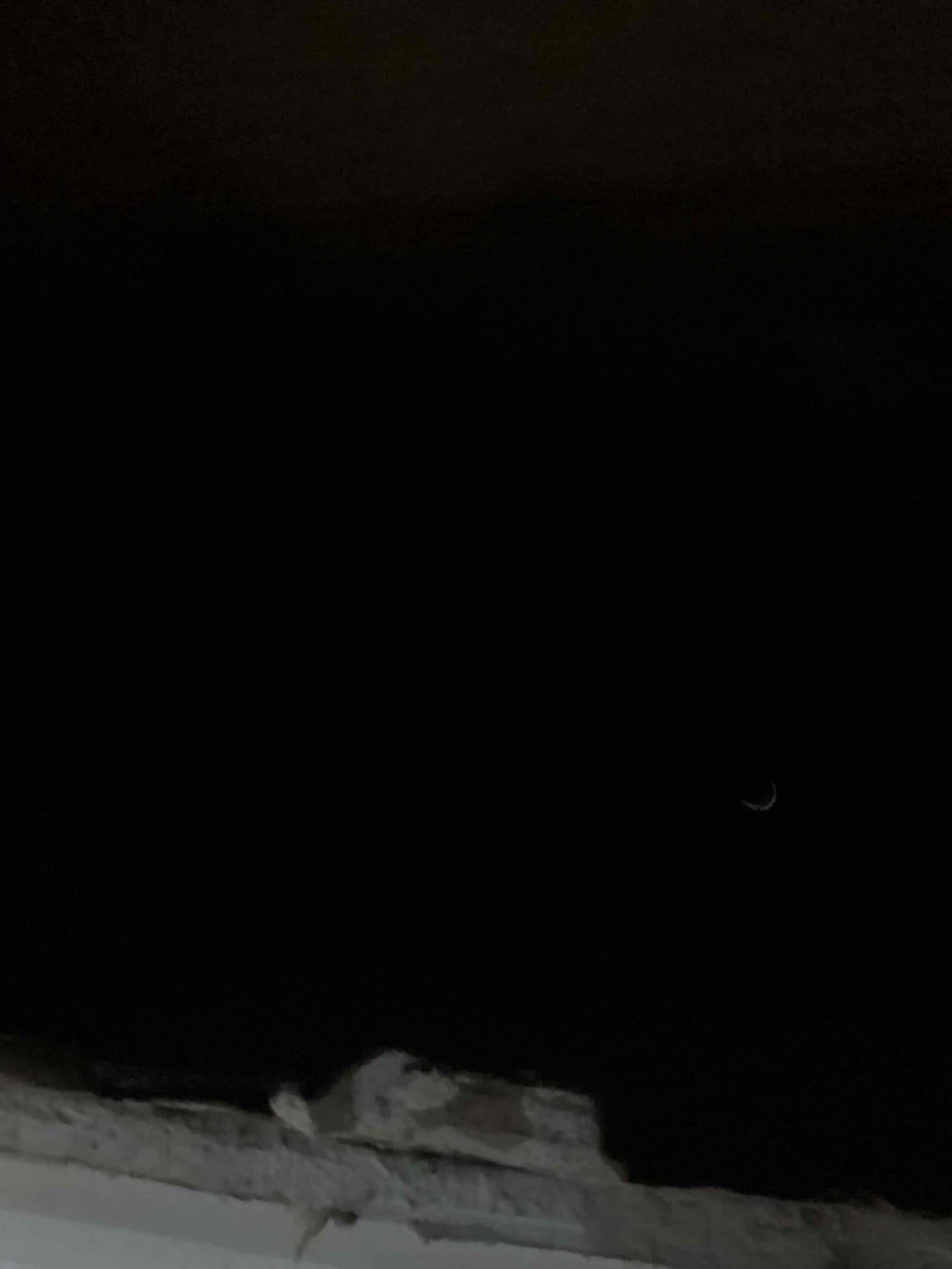 I was called to flush and drain a water heater and change the whole house filter. I arrived at the customer's house and found that the water heater was not draining properly. I used a drain snake to clear the drain and then flushed the water heater with a solution to remove any sediment or debris. After that, I replaced the whole house filter with a new one. The customer was very satisfied with the service and thanked me for my help.