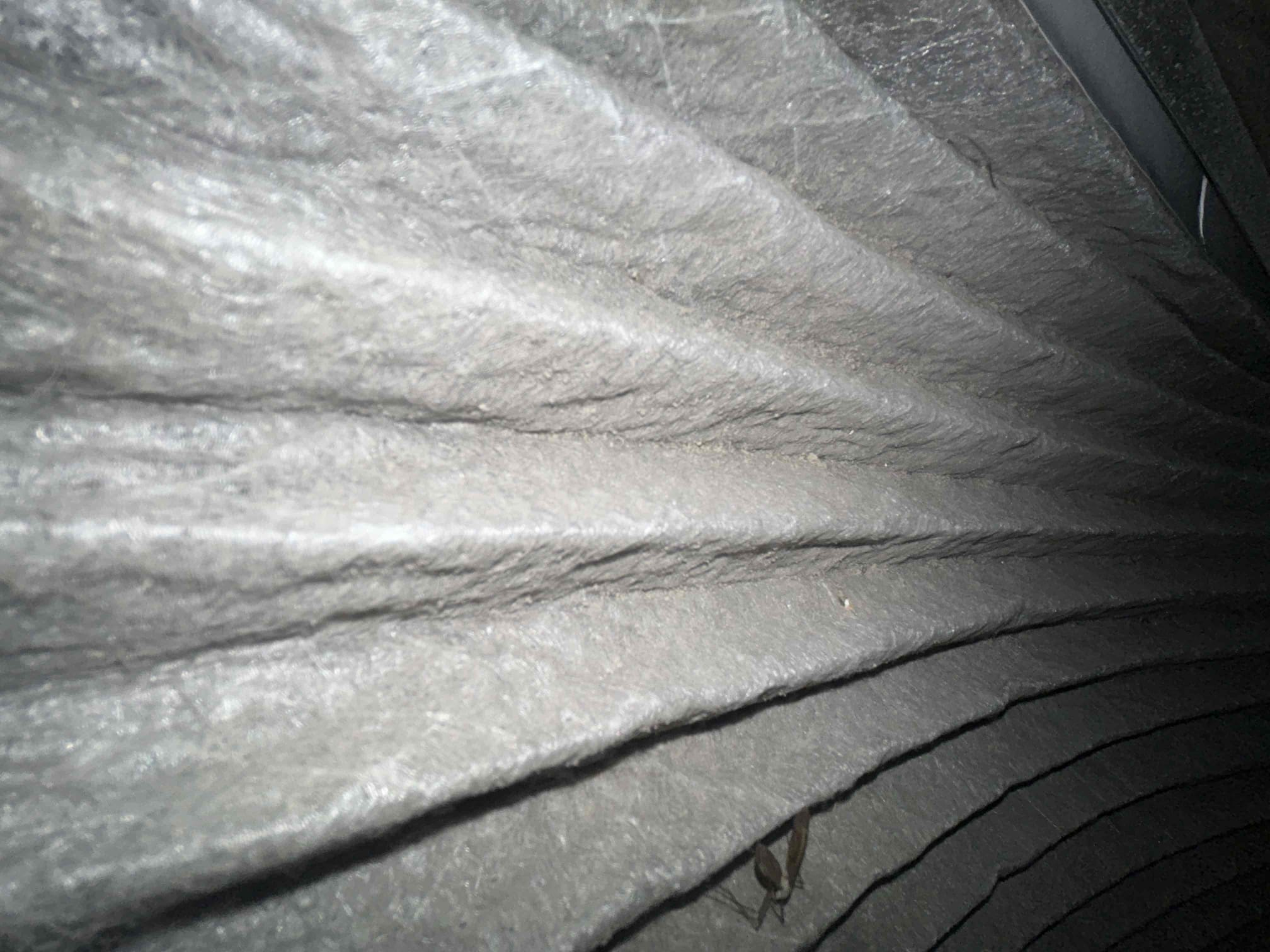 I arrived at a home to investigate a furnace making noise. Upon inspection, I found that the condensate line was vibrating against the floor, causing a low grumbling noise throughout the house. I removed the shoe cover and stuck it underneath the vibrating condensate line, which resolved the issue. The client expressed interest in becoming a member, and I recommended that he change the air filter to prevent further problems.