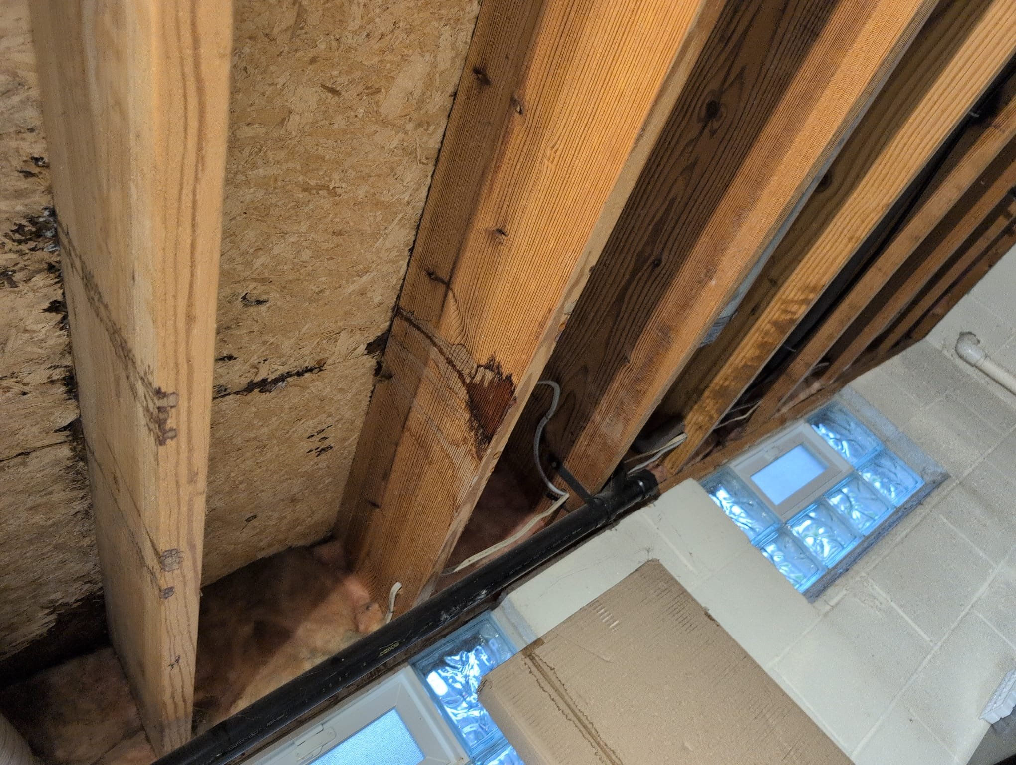 I am a skilled professional that works for a Dor-Mar Heating & Air Conditioning company. I was called to a client's home to inspect a leak near their dishwasher. Upon inspection, I found that the supply line was slightly loose, causing a drip. I tightened the supply line and ran the dishwasher to ensure it did not return. Once I was confident that the issue was resolved, I let the client know about the floor. The dishwasher was sitting on the floor, and I recommended leaving it out and putting a fan there to allow the floor to dry and prevent mold. I also informed the client that we are good to go.