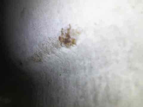 I received a call from a customer who reported that their furnace was not working. Upon arrival, I found that the inducer was completely full of water. I immediately spoke to the customer about the concerns for the furnace. I explained that the furnace was overheating due to exhaust gases not being able to escape from the system. I took a camera in and found cracking from heat damage. I tested the furnace with the old school method of watching the flames flicker. I determined that the furnace was no longer safe to operate and that it would be more reliable and help with the customer's comfort issues. I recommended that a new furnace be installed, which would be more reliable and would help with the customer's comfort issues. The new furnace is expected to be installed on Monday, as the supply house is not open due to the holiday.