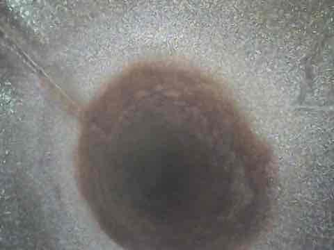 Client stated the system would run for a little while and then turn off, and then wouldn’t turn back on until an amount of time had passed. Searching through the code records on your system, we found that your unit has experienced overheating recently, which is why the system would not come back on even after you guys cycled the power. While I was in your home, I measured heat rise and noticed it to be high, I took a look at your vents and recognize that every vent was open, except for one in the laundry room, and one in a bedroom. I took a look further down at your system and found multiple dampers to have vibrated loose and closed themselves, which is where the suspected overheating has been caused due to high static pressure. After remedying the dampers, your heat rise, lowered to be within specification, and your system is no longer overheating. We are recommending that you clean your ducts due to client in the home smelling soil coming from her vents. Keep in mind, we attached in 