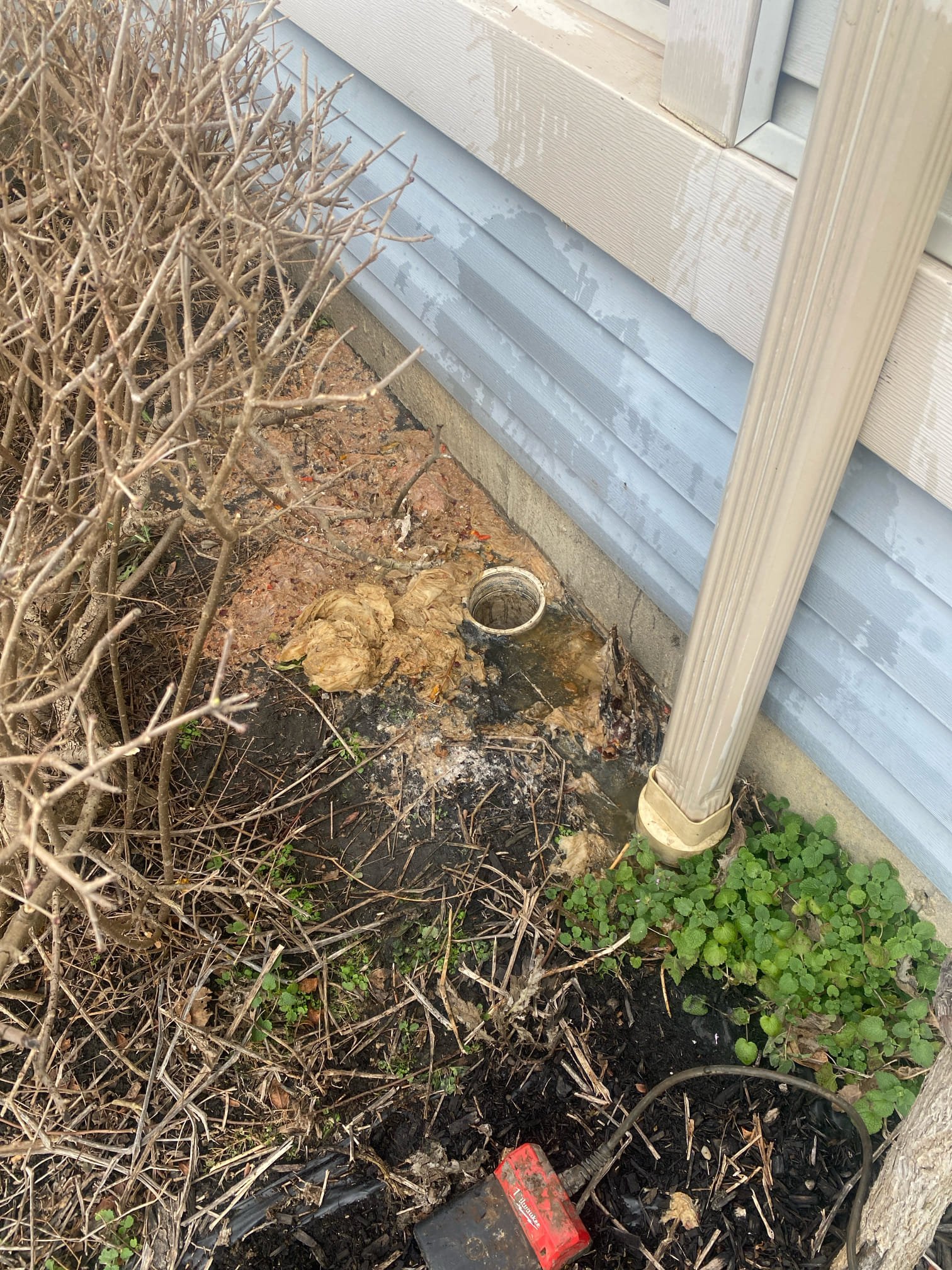 Cleared out obstruction in sewer line
This apartment complex a one through 88 is having backup issues from the main sewer line. This price is for two hours and the serve machine to be room to clear all obstruction and pipe to get things back in proper flowing order. We are not responsible for damages.