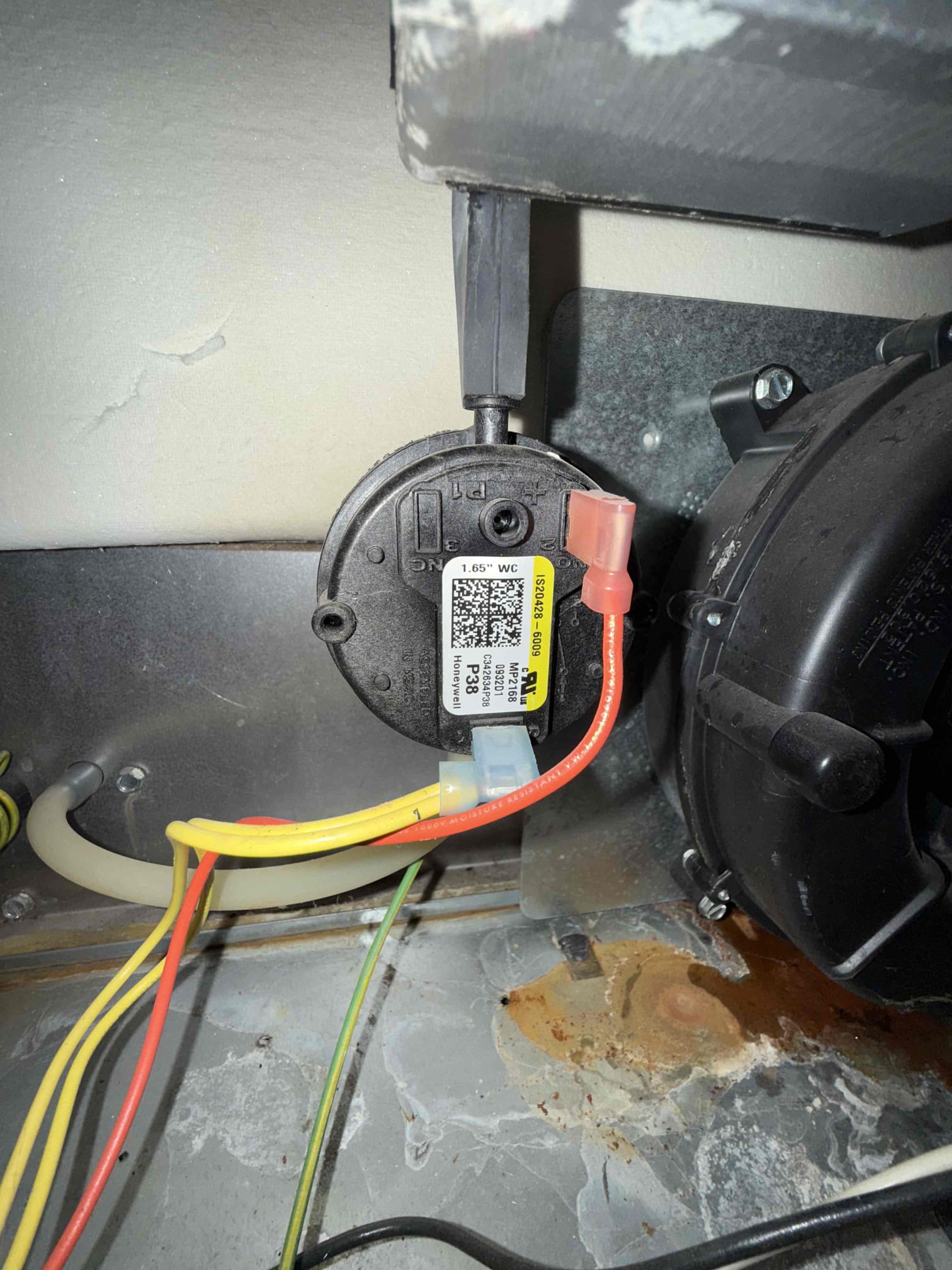 Upon inspection, we identified a faulty pressure switch and a leak originating from the hot water tank, causing water to seep onto the basement floor. The pressure switch was diagnosed as the primary issue, while the hot water tank leak required immediate attention. We provided pricing for replacement tanks and will follow up with a detailed estimate for the pressure switch replacement.