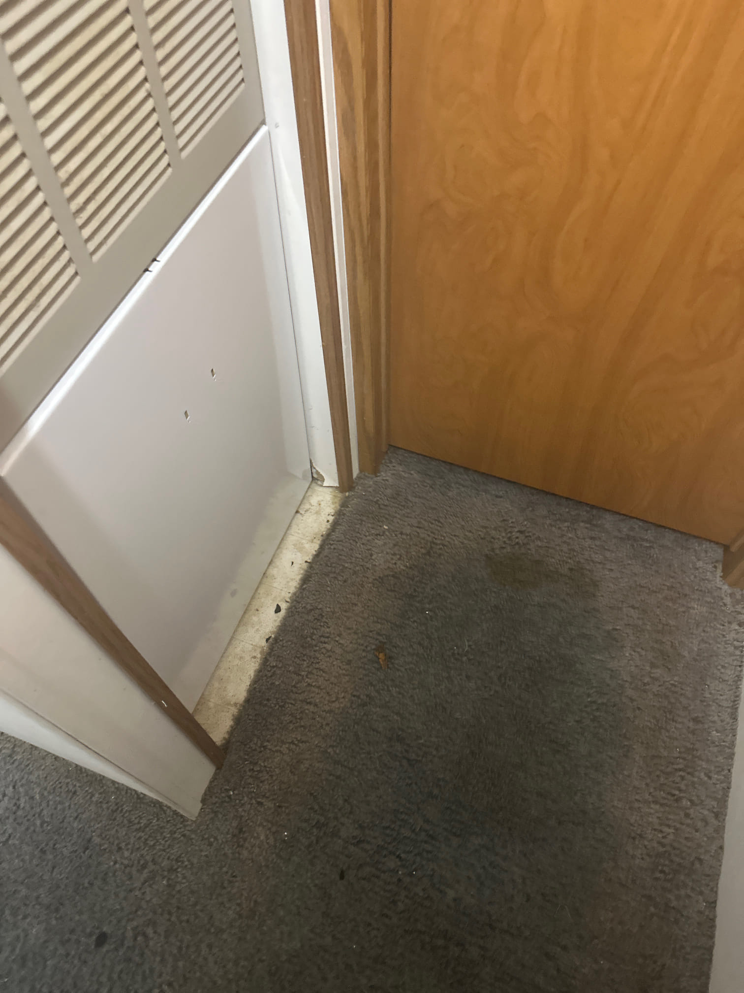 We successfully completed an energy-efficient system installation on Monday or Tuesday morning. This project included a comprehensive 10-year parts warranty and a 1-year labor warranty, ensuring peace of mind for our client. Additionally, we offered a 18-month 0% financing option, allowing for a more manageable payment plan. Our financing also featured a long-term, low monthly payment structure with no early payoff penalties, providing flexibility and financial ease. Our team meticulously ensured that the installation met all industry standards and provided optimal performance for the client's needs.