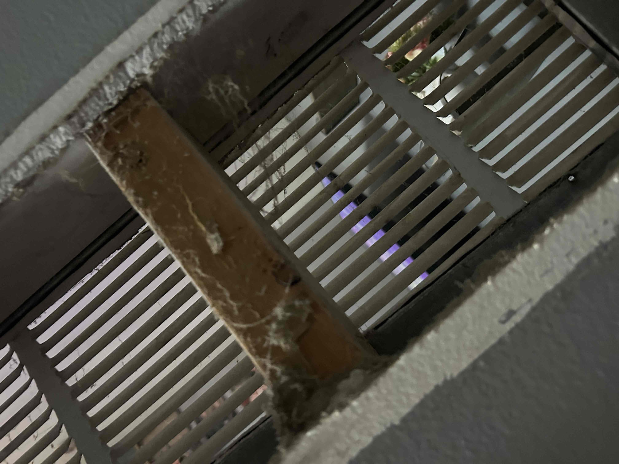 I performed a comprehensive furnace maintenance service, which included a thorough inspection of the furnace's components to ensure optimal performance. I checked the burners, heat exchanger, and air flow to identify any potential issues. Additionally, I cleaned and lubricated the moving parts, adjusted the thermostat, and tested the safety controls. I also provided a detailed estimate for duct cleaning, which involves removing accumulated dust, dirt, and debris from the ductwork to improve indoor air quality and enhance the efficiency of the heating and cooling system.