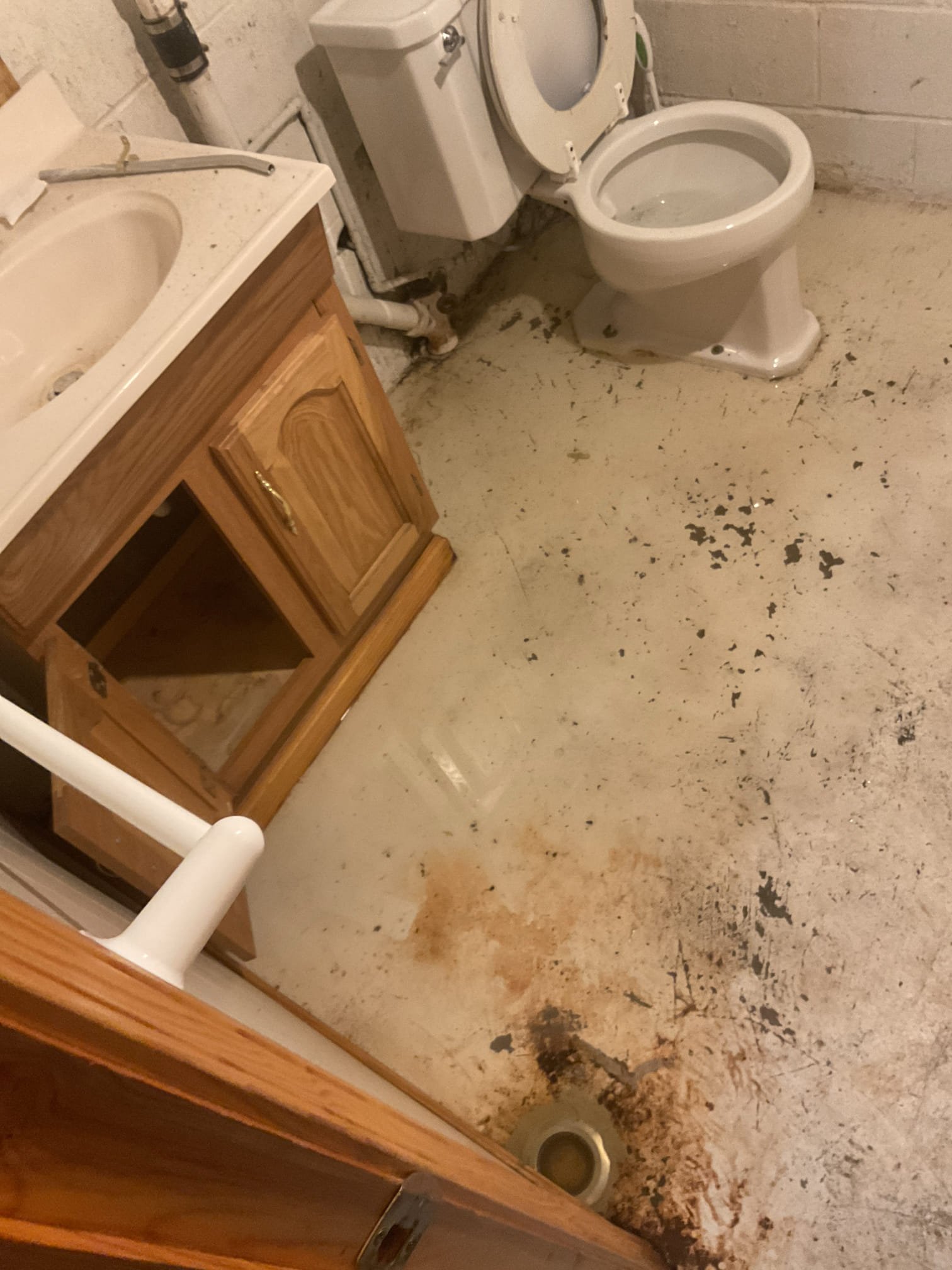 I inspected the toilet as requested, but the client indicated the issue was with the floor drain. They mentioned it had never clogged until after radon work. Upon inspection, I found a strainer and a black plug obstructing the drain. Removing these components allowed the drain to function properly, resolving the water issue.