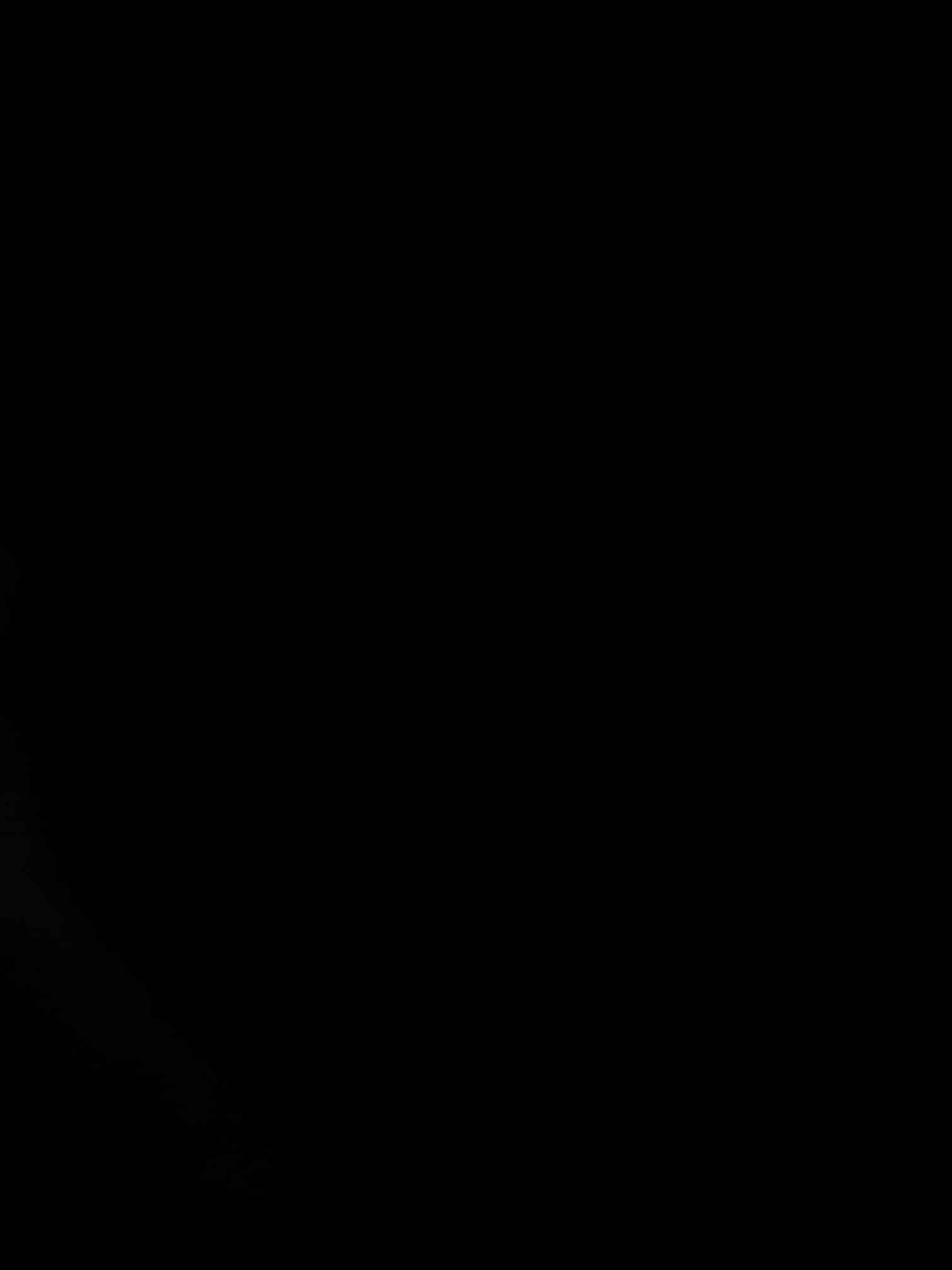 Today, I performed a comprehensive plumbing maintenance check. I flushed the Rinnai tankless water heater with vinegar, ensuring it operated without issues. Both bathrooms' toilets were inspected and reset, showing no wobbling or leaks. The shower handles and lav faucets functioned perfectly, with no water leakage. The kitchen faucet and garbage disposal were also in excellent condition, working smoothly. Overall, all plumbing fixtures were inspected and found to be in great working order.