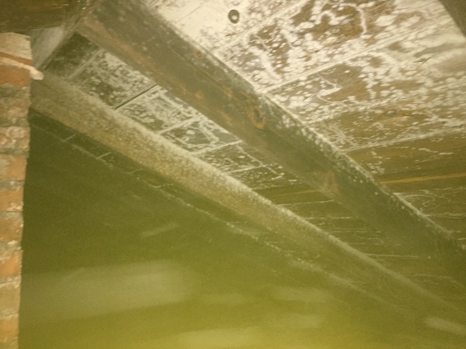 Spraying an anti microbial and mold stain remover on the roof sheeting that has white mold on it. Also treating the whole house. 