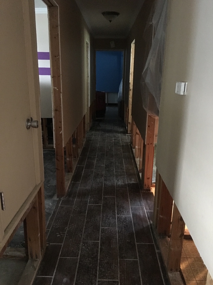 Dried out house after flood.  removed wet walls, trim and insulation. Treated for mold and did some mold removal. Dried out house with dehumidifiers and fans. 