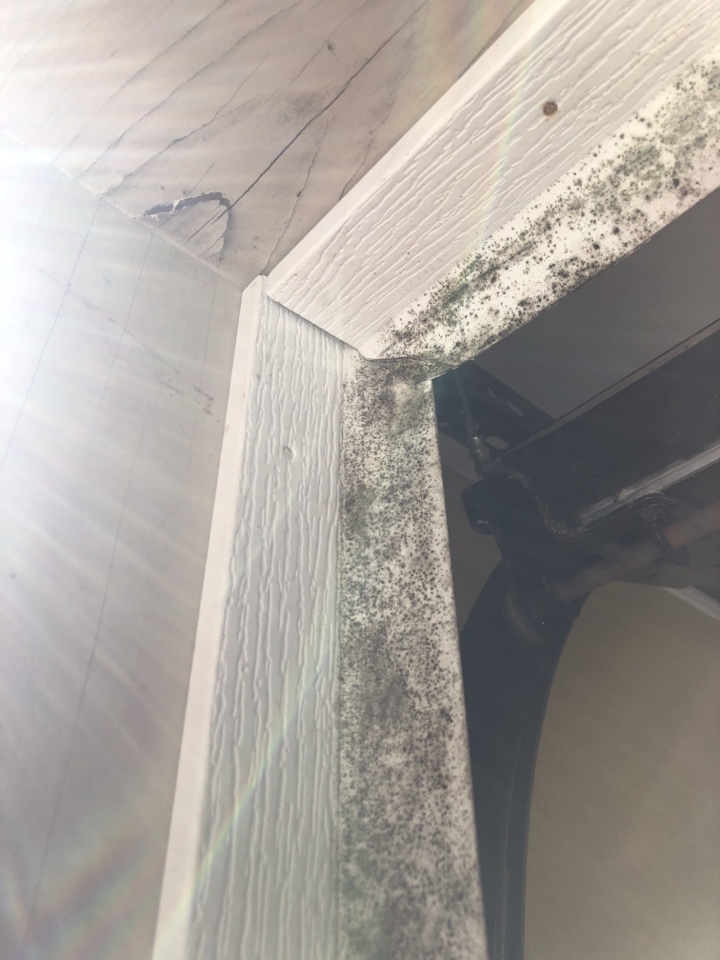 Clean up mold on ceiling, mold on walls and doors. Mold caused from high humidity and condensation.