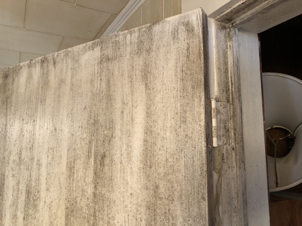 Mold cleanup caused from roof leak, water damage. Remove and clean mold, create a safe indoor air environment. 