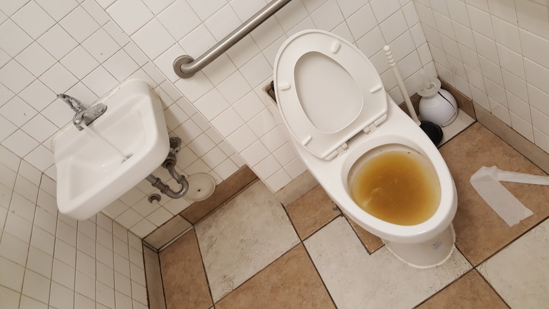 Clogged toilet in South salt lake city 