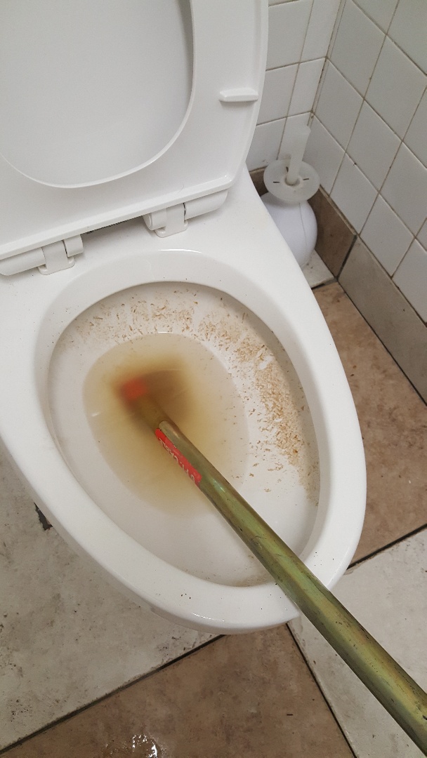 Clogged toilet in South salt lake city 