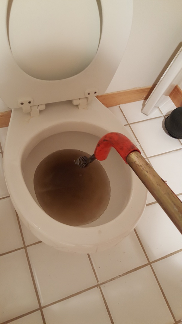 Clogged toilet in cottonwood heights 