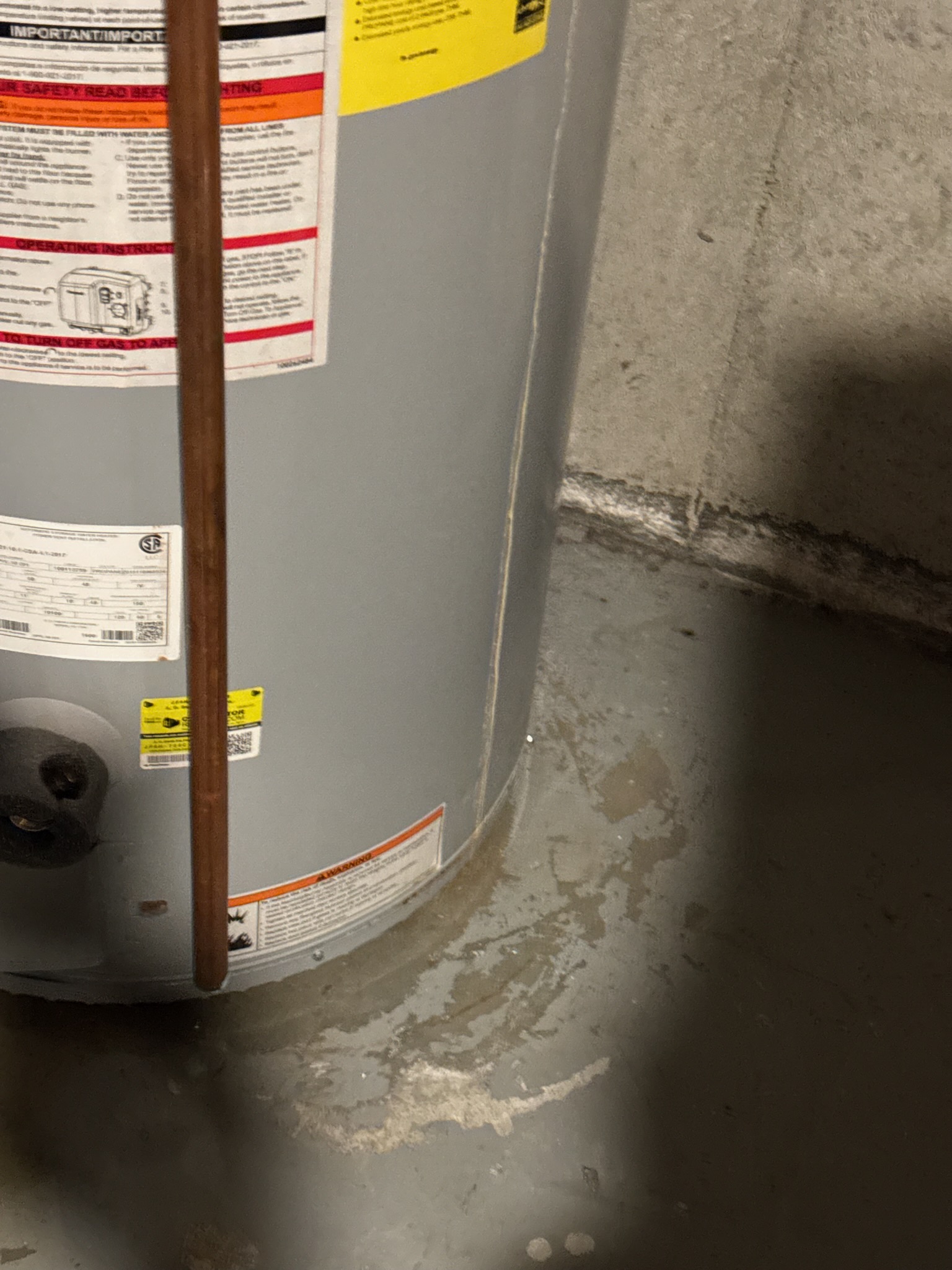 Replace 40 gallon propane power vented water heater. All new trim- expansion tank, mixing valve, & vacuum breaker. 