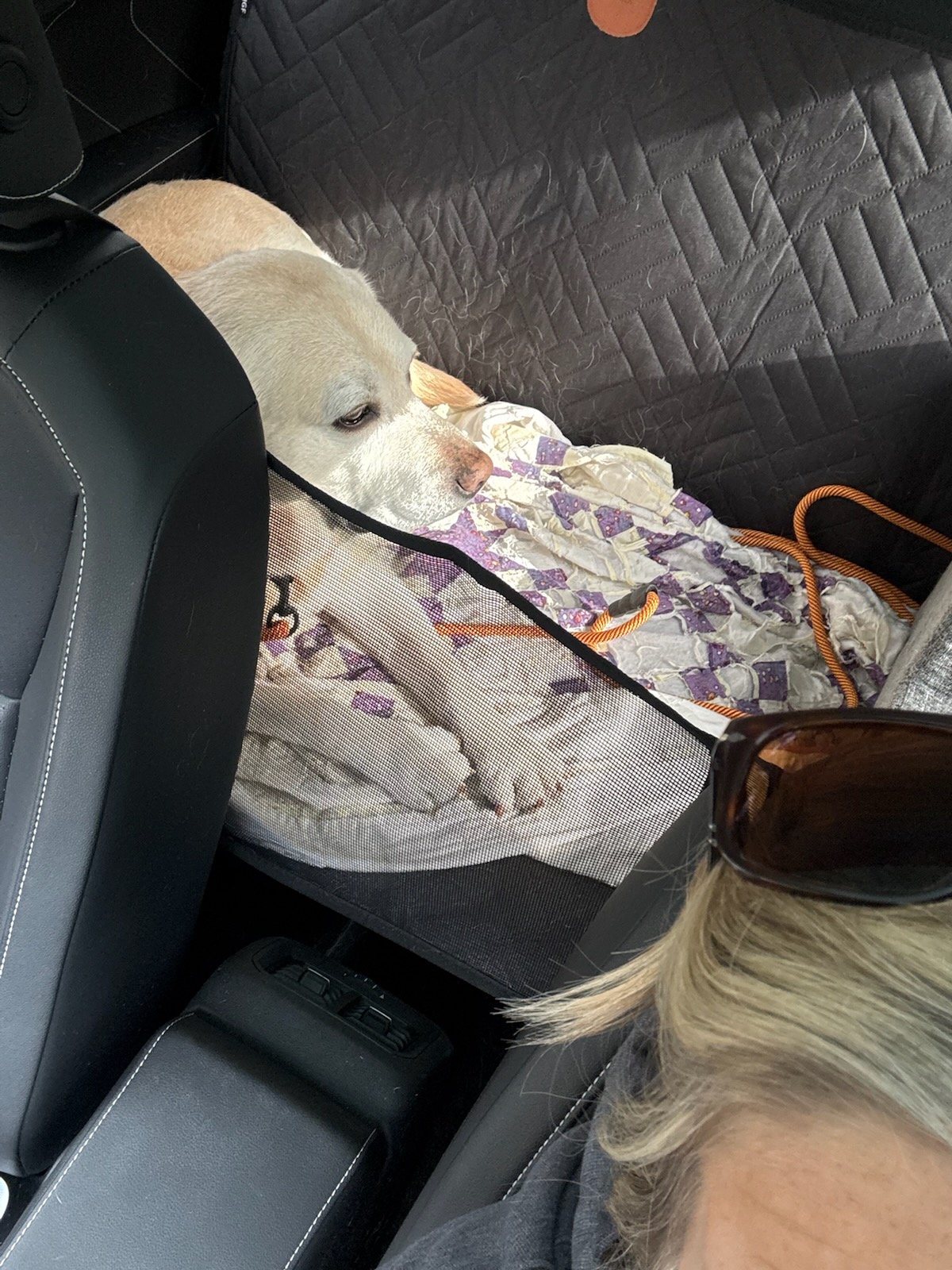 Furnace PM. Vent adpeter needs to be replaced with approved connector. Adjust gas pressure. Took combustion and it is burning good. See maintenance sheet for details of work performed.