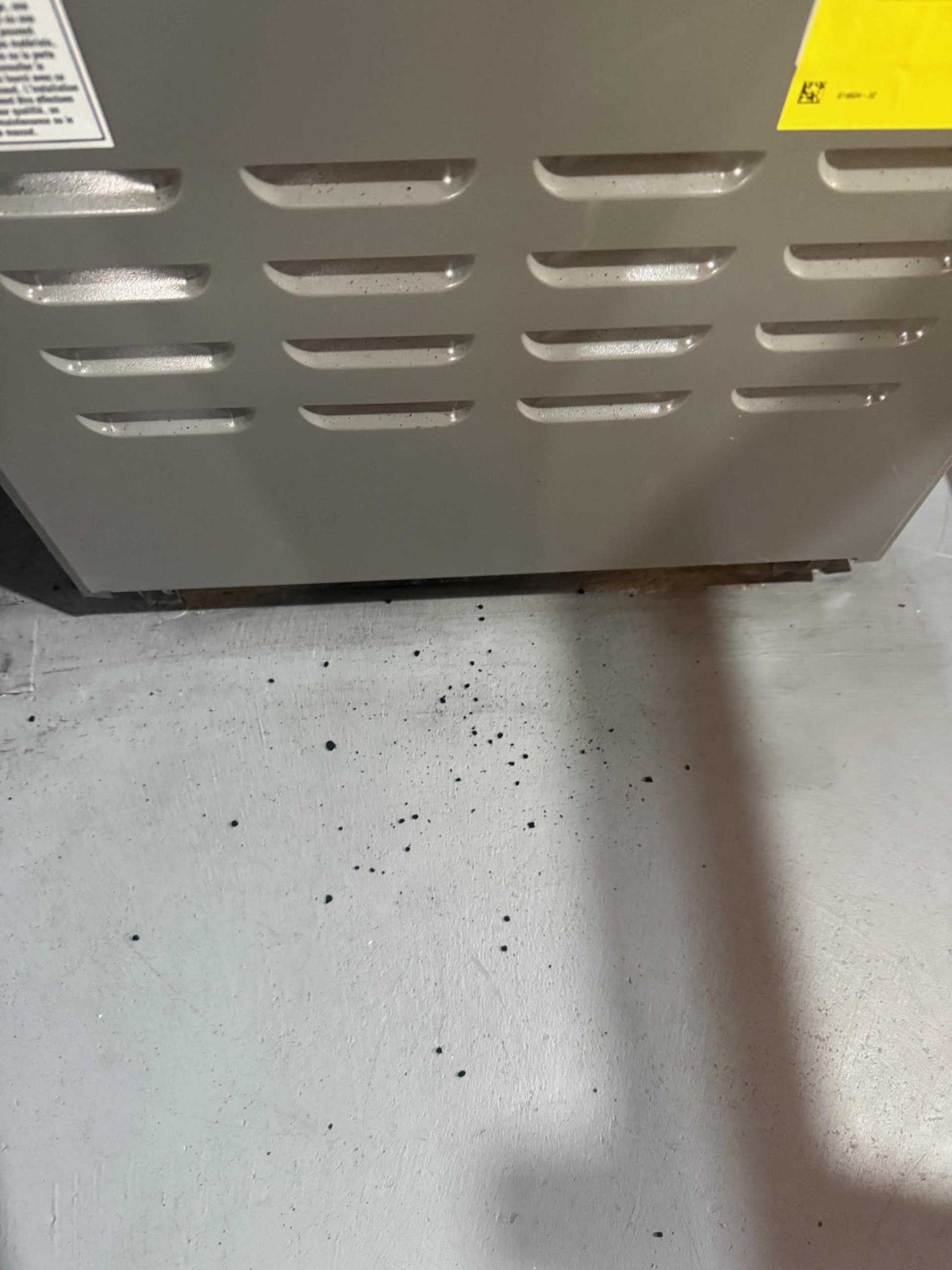 Today I completed an oil furnace maintenance. Everything went great. I made quite a few adjustments to address the sooting issue you are experiencing. I believe the sooting was caused from an adjustment made in 2024 that looked like it was to be burning rich. Please let us know if the issue persists. Thank you. 