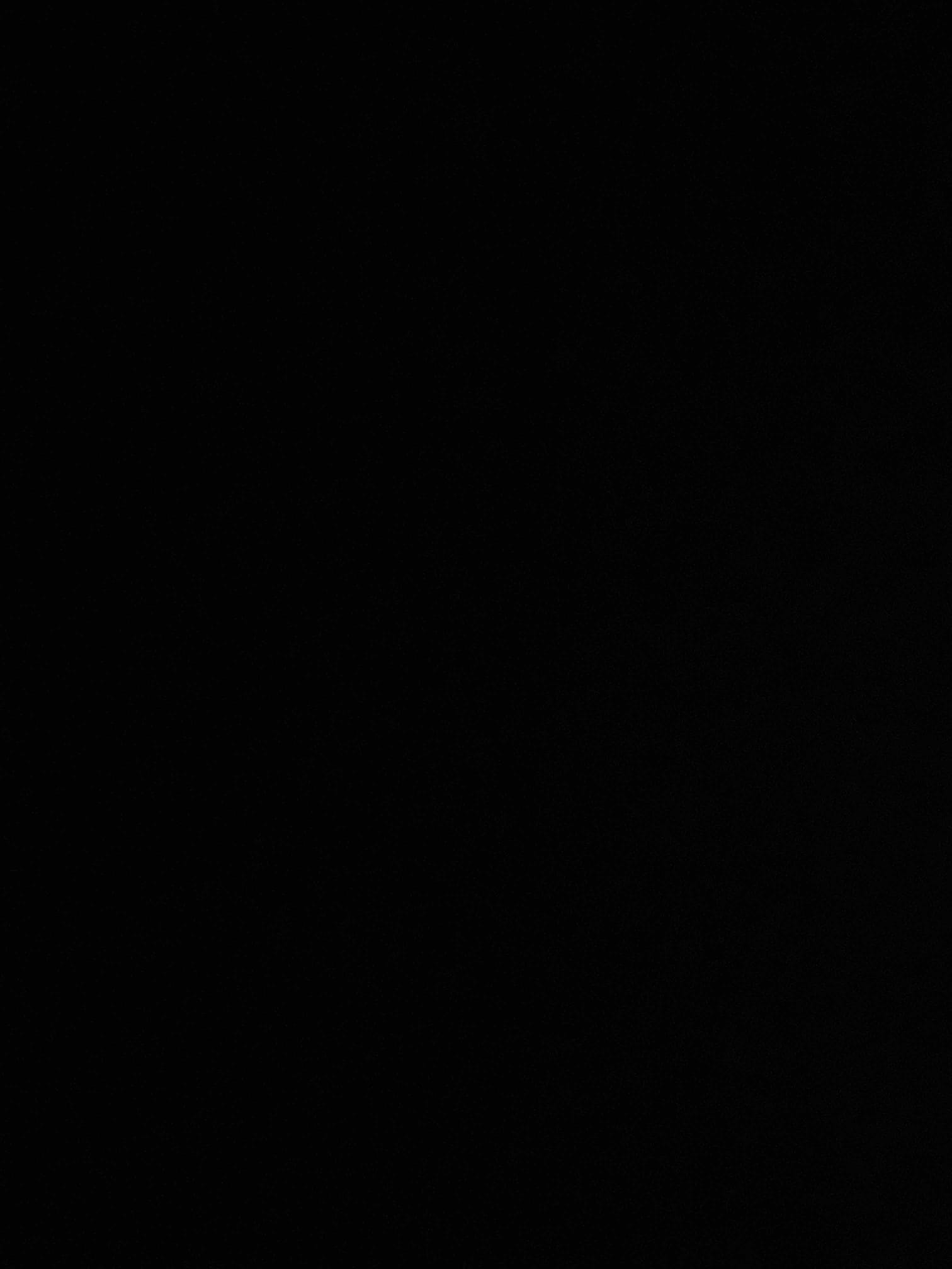 I completed the condensing gas boiler maintenance today. I started off checking all the electrical connections, everything looked good. I pulled the flame sensor out and I cleaned it. I checked all accessories and everything looked great. I pulled the trap out and I cleaned it and primed it. I flushed the condensate pump with cleaner. I cleaned out the boiler magnet and I added in Fernox Protector F1. Lastly, I ran the boiler in low and high fire and performed a combustion analyzer test that checks the units CO, CO2 and oxygen levels. The boiler was running great.