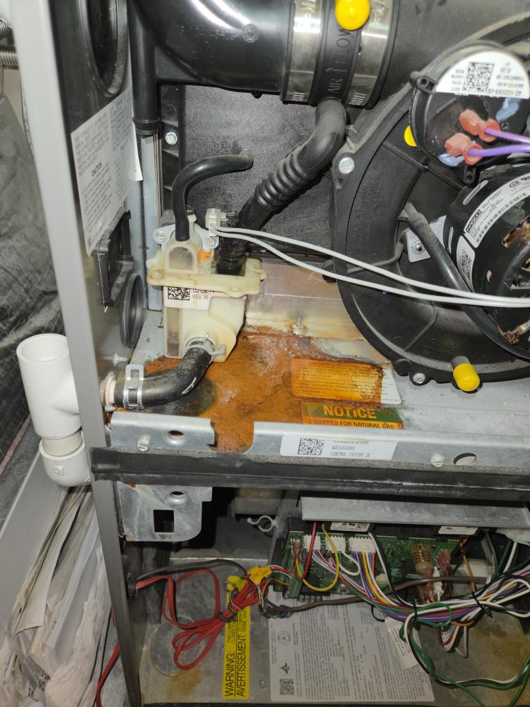 Upon arrival I found that there was water in the furnace cabinet. I found that the furnace trap was clogged. I rinsed it out with hot water and soap. I primed the trap and reinstalled it. When I went to start up the furnace the same area code came on again. I found that the blower motor has failed. When trying to locate a new motor the rep had told me the best thing to do was to replace it with the OEM motor. We will get back to you Friday and let you know if we can replace it that day.