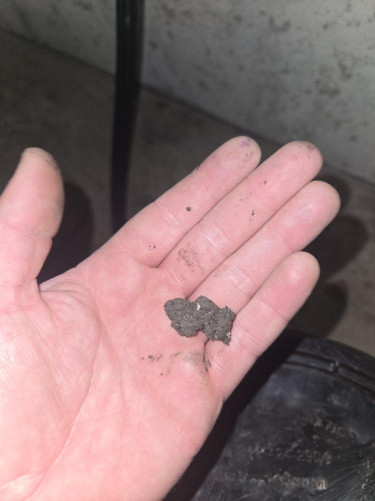 Rinnai tankles water heater preventative maintenance. I found dirt in the intake pipe at the water heater. I will send an estimate to disassemble the vent pipe and clean out the dirt. I removed what I could through the access port.