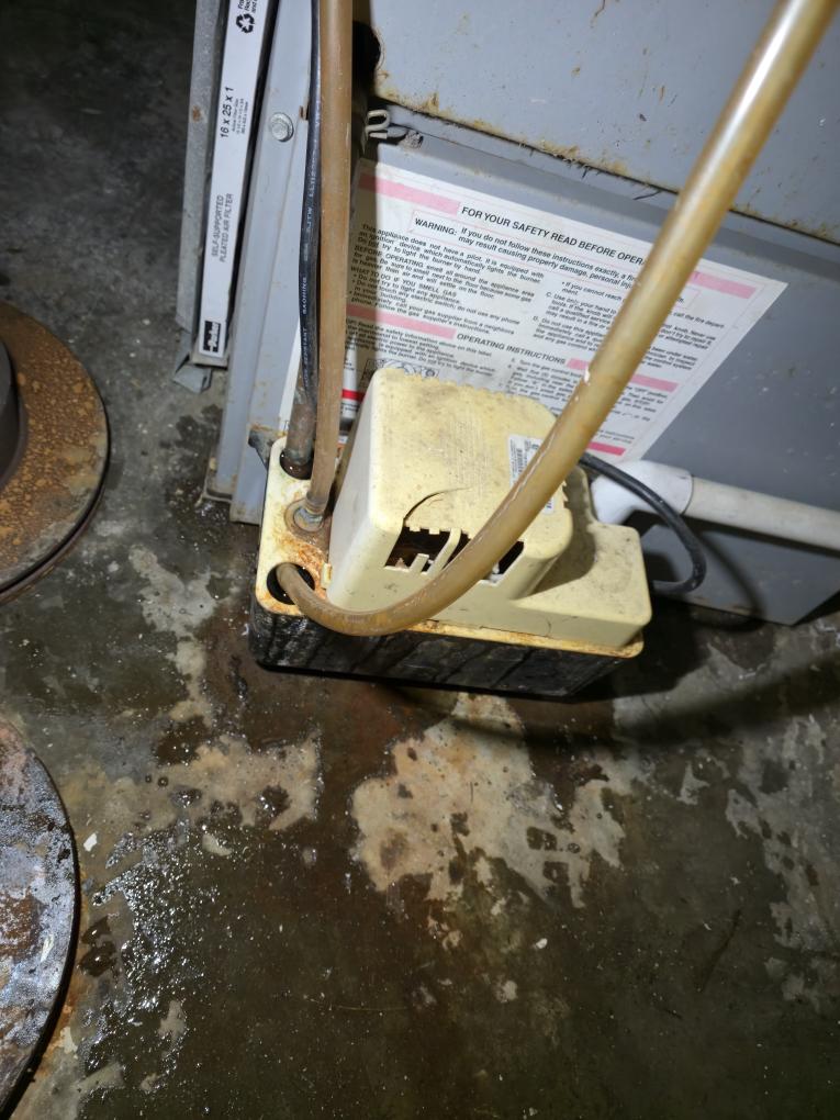 Completed the gas furnace maintenance today. I started off with checking all the electrical connections and everything looked good. I pulled the flame sensor and I cleaned it. The filter looks brand new. I checked incoming and outgoing gas pressures and those were according to manufacturer specifications. Lastly I ran the unit and performed a combustion analyzer test that checks the units CO, CO2 and oxygen levels and it was running great. The condensate pump has failed at some point so it is leaking water on the floor. There is no drain line either so we would have to figure out where to put that. The heat and the AC both produce water. Let us know if you would like that done and we would be happy to help. If you plan on using the AC in the summertime I would highly recommend doing a AC maintenance, we would come back out in the spring/summer time.