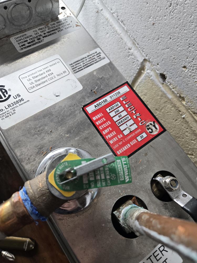 Estimate for steam shower generator replacement.