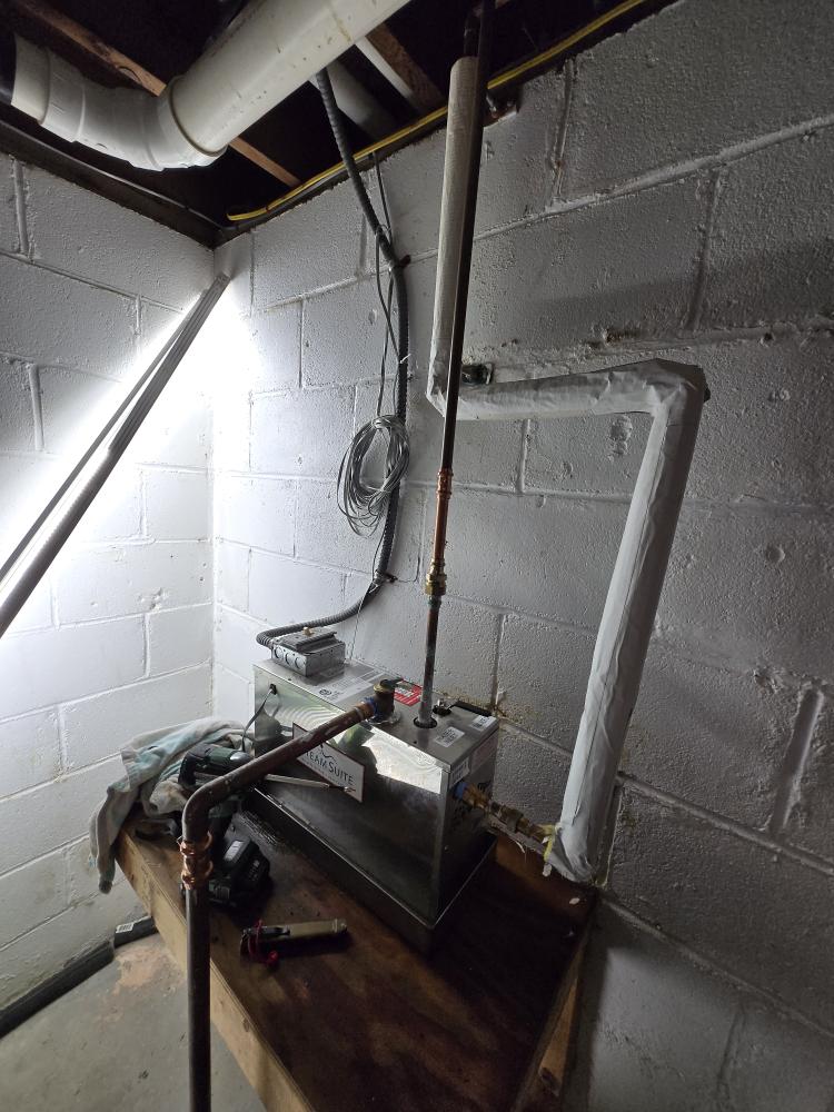 Estimate for steam shower generator replacement.