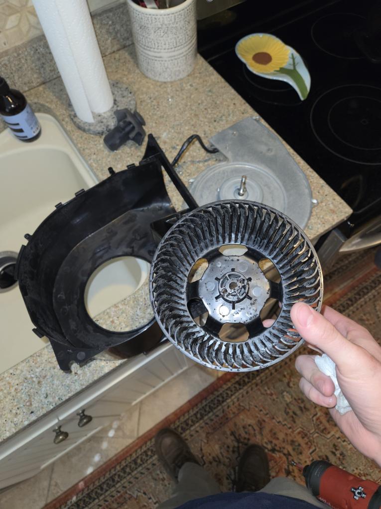 I started off with doing the maintenance on the Rinnai floor heater. I vacuumed the air filters. I vacuumed out the whole inside of the unit and the blower wheels. I checked all the electrical connections and everything looked good. I checked all the vent pipe connections for carbon monoxide leaks and there was none. I used an electronic sniffer on the gas lines and there is no leaks as well. The bathroom fan was extremely dirty so there was poor air flow. I took it all apart and cleaned it. It was a night and day difference with the amount of suction now. Lastly I took a look at the water heater and the date says it was manufactured in September of 2005. There is a water filter that filters the water before the tank and it is extremely dirty. I would highly recommend replacing the tank due to the age because if that tank was to fail there would be 40 plus gallons of water all over the floor and the ceiling below.